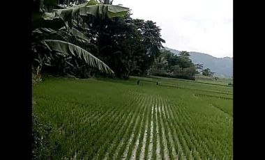 Dijual Tanah Perumahan 20 Ha Di Cihampelas Bandung Barat