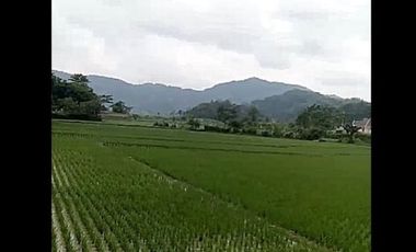 Dijual Tanah Perumahan 20 Ha Di Cihampelas Bandung Barat