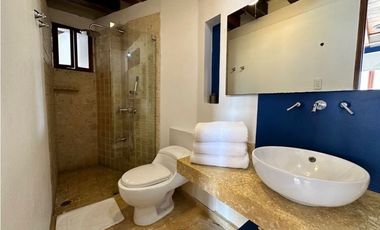 casa en venta en el centro. Cod V288