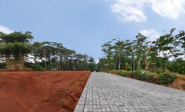 Tanah Dekat Jl. Raya Karanganyar-Doro Pekalongan, SHM, Harga 60 Jt-an