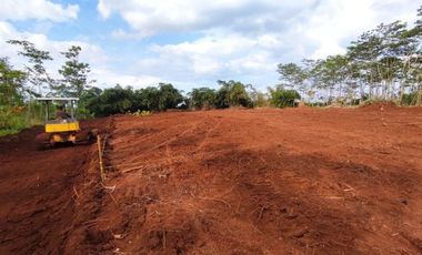 Tanah Dekat Jl. Raya Karanganyar-Doro Pekalongan, SHM, Harga 60 Jt-an