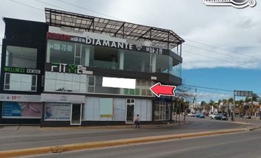 Renta Local 1 piso