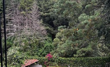 CASA CON ESPECTACULAR VISTA A BOSQUE ECOLÓGICO