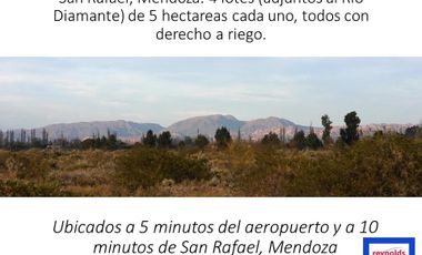 Lotes de 5 ha en Venta - San Rafael- Mendoza