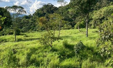 Te vendo este hermoso terreno planito y bien barato a 20 minutos de  Barbosa.