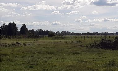 Chacra en Barrio de Chacras Estancia Malvinas en Brandsen
