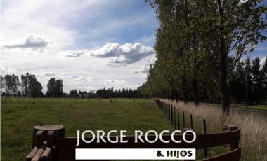 Chacra en Barrio de Chacras Estancia Malvinas en Brandsen