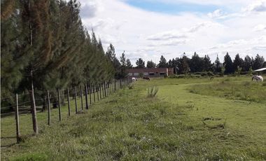 Chacra en Barrio de Chacras Estancia Malvinas en Brandsen