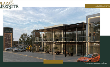 VENTA DE LOCALES COMERCIALES EN ZONA NORTE DE AGUASCALIENTES.