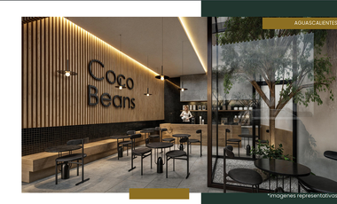 VENTA DE LOCALES COMERCIALES EN ZONA NORTE DE AGUASCALIENTES.
