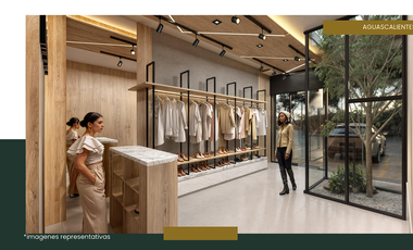 VENTA DE LOCALES COMERCIALES EN ZONA NORTE DE AGUASCALIENTES.