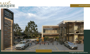 VENTA DE LOCALES COMERCIALES EN ZONA NORTE DE AGUASCALIENTES.