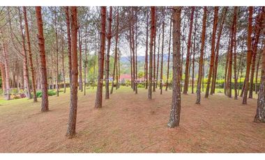 Espectacular finca para la venta en el sector de Guarne