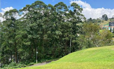 Hermoso Lote en Venta en las Palmas - Listo para construir