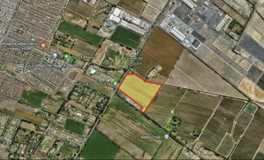 Venta Terreno 98.800 m2 - San Benardo