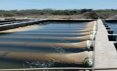 Descubre tu propio paraíso en la tierra en la hermosa Playas de Teacapan, Mazatlán