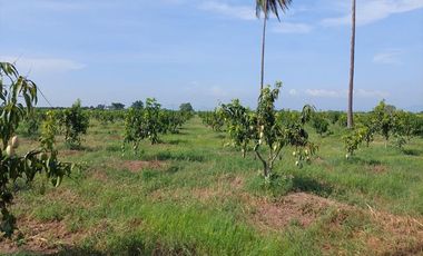 Descubre tu propio paraíso en la tierra en la hermosa Playas de Teacapan, Mazatlán