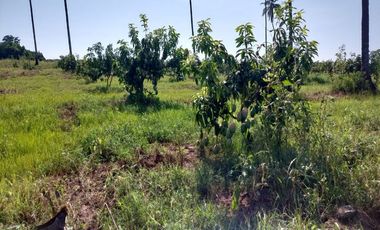 Descubre tu propio paraíso en la tierra en la hermosa Playas de Teacapan, Mazatlán
