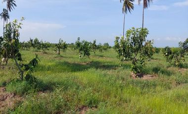 Descubre tu propio paraíso en la tierra en la hermosa Playas de Teacapan, Mazatlán