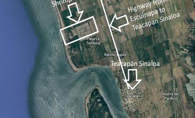 Descubre tu propio paraíso en la tierra en la hermosa Playas de Teacapan, Mazatlán