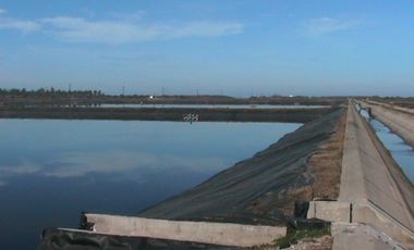 Descubre tu propio paraíso en la tierra en la hermosa Playas de Teacapan, Mazatlán