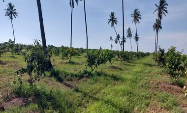 Descubre tu propio paraíso en la tierra en la hermosa Playas de Teacapan, Mazatlán