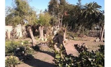 Casa - San Vicente