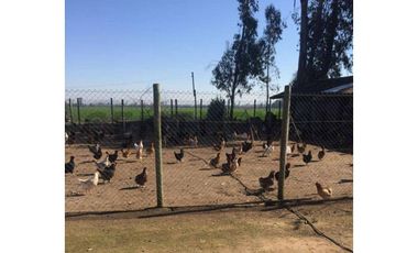 VENTA PARCELA AGRORESIDENCIAL CHILLÁN, SAN NICOLÁS