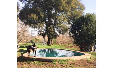 VENTA PARCELA AGRORESIDENCIAL CHILLÁN, SAN NICOLÁS