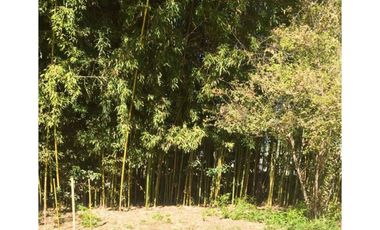 VENTA PARCELA AGRORESIDENCIAL CHILLÁN, SAN NICOLÁS