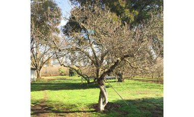 VENTA PARCELA AGRORESIDENCIAL CHILLÁN, SAN NICOLÁS