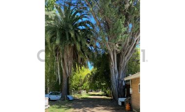 VENTA PARCELA AGRORESIDENCIAL CHILLÁN, SAN NICOLÁS