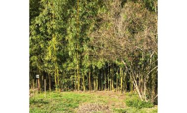 VENTA PARCELA AGRORESIDENCIAL CHILLÁN, SAN NICOLÁS