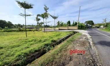 DIJUAL TANAH RAYA TUMBAK BAYUH PERERENAN MENGWI BADUNG, BALI