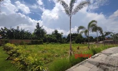 DIJUAL TANAH RAYA TUMBAK BAYUH PERERENAN MENGWI BADUNG, BALI