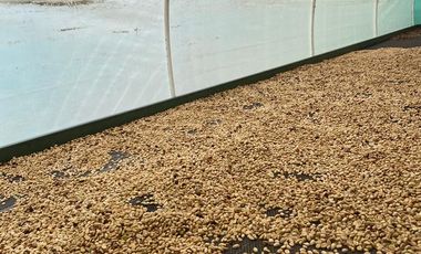 finca en venta en cachipay. Cod V12359