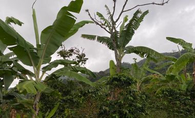 finca en venta en cachipay. Cod V12359