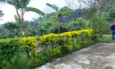 finca en venta en cachipay. Cod V12359