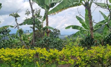 finca en venta en cachipay. Cod V12359