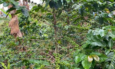 finca en venta en cachipay. Cod V12359