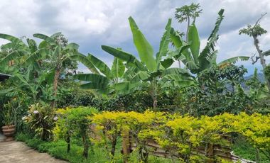 finca en venta en cachipay. Cod V12359