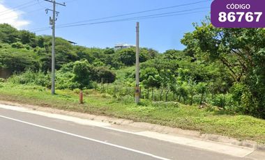 lote en venta en palmarito. Cod V86767
