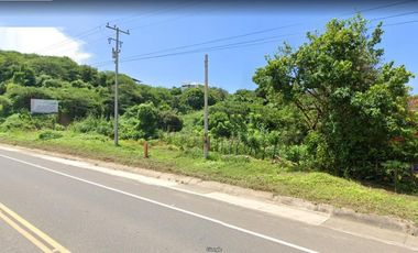 lote en venta en palmarito. Cod V86767