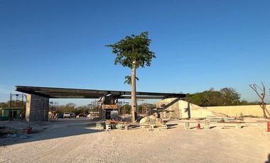 Terreno en venta Mérida Yucatán, Privada Fulgora Dzityá