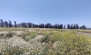 Parcela en Venta en DESCTO. 5% POR PAGO AL CONTADO, Chancon, Rancagua