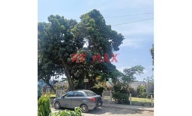 🏡 Venta De Casa Como Terreno En San Martín De Porres