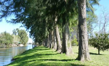 Alquila cabaña en el Delta del Tigre. Arroyo Las Animas y Paraná de las Palmas.