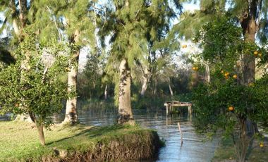 Alquila cabaña en el Delta del Tigre. Arroyo Las Animas y Paraná de las Palmas.