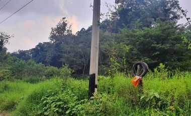 TERRENO  EN VENTA  DENTRO DE LA NATURALEZA  EN COATEPEC