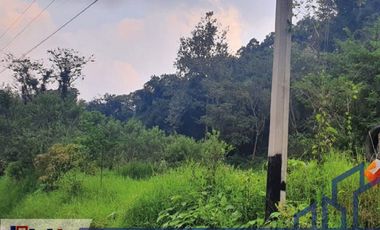 TERRENO  EN VENTA  DENTRO DE LA NATURALEZA  EN COATEPEC